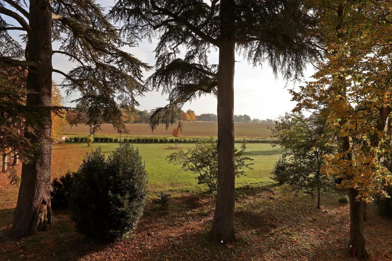 Chateau Du Go Albi Luaran gambar