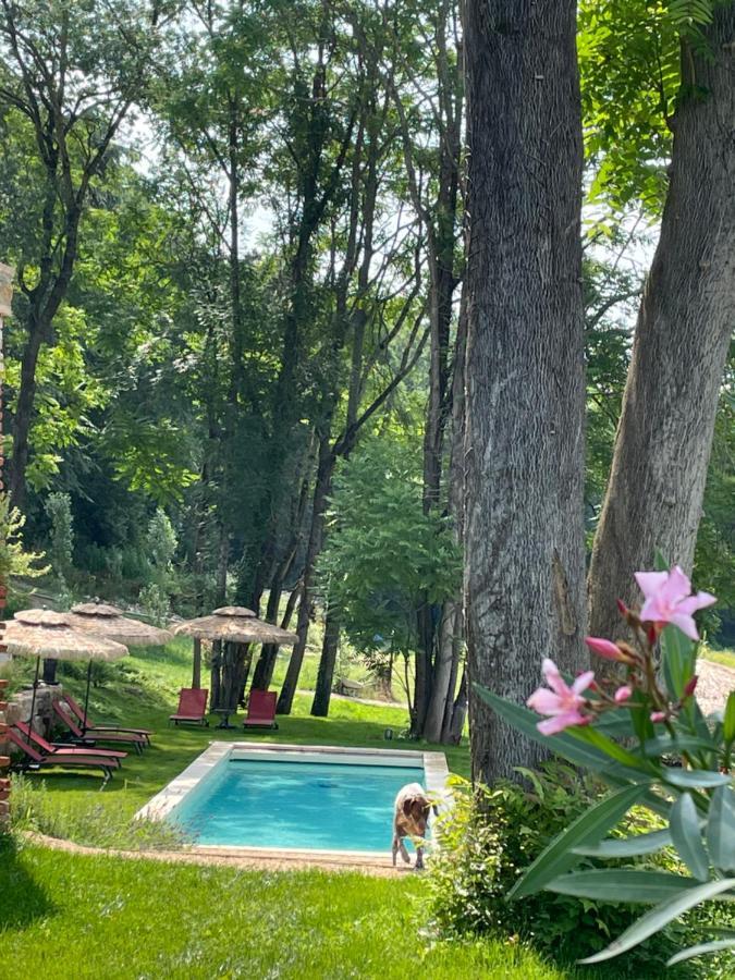 Chateau Du Go Albi Luaran gambar